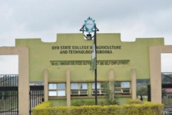 Oyo College refutes viral “militant attack” claim