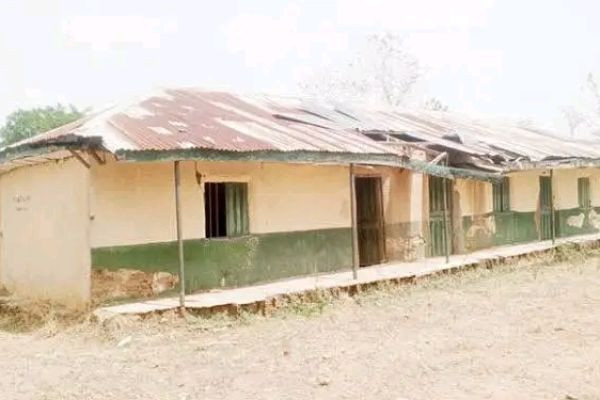 Snakebite Kills Head Teacher Inside Office at LEA Primary School in FCT Community