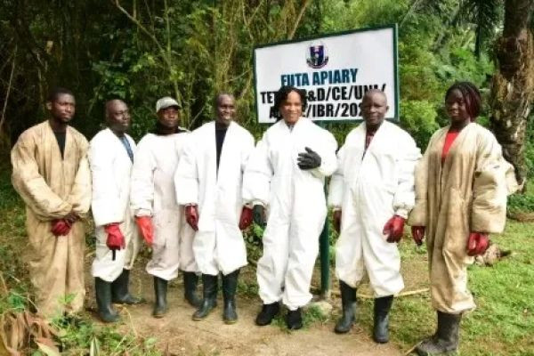 FUTA Intensifies Drive for Sustainable Honey Production, Warns Against Adulterated Products