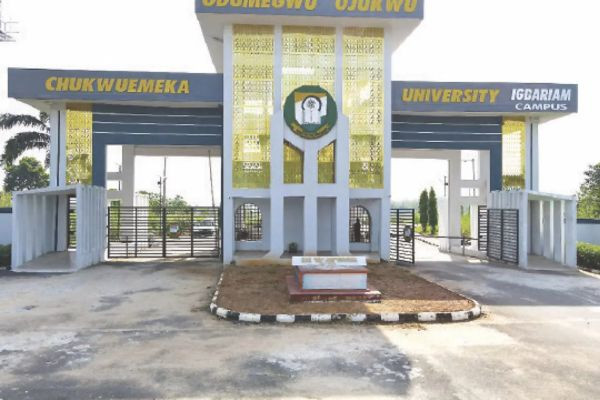 University Council Fires Professors After Misconduct Investigations