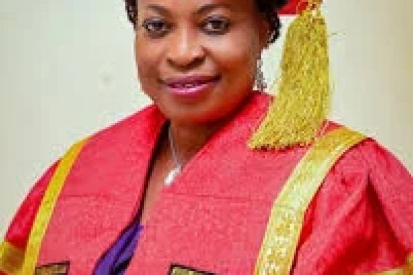 New LASU VC Badejo Unveils Eight-Point Agenda for University Development