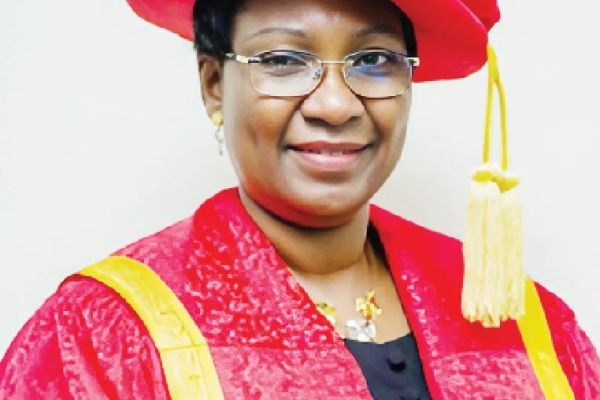Ex-LASU VC: Public Universities Need N1m Annual Fees for Financial Sustainability
